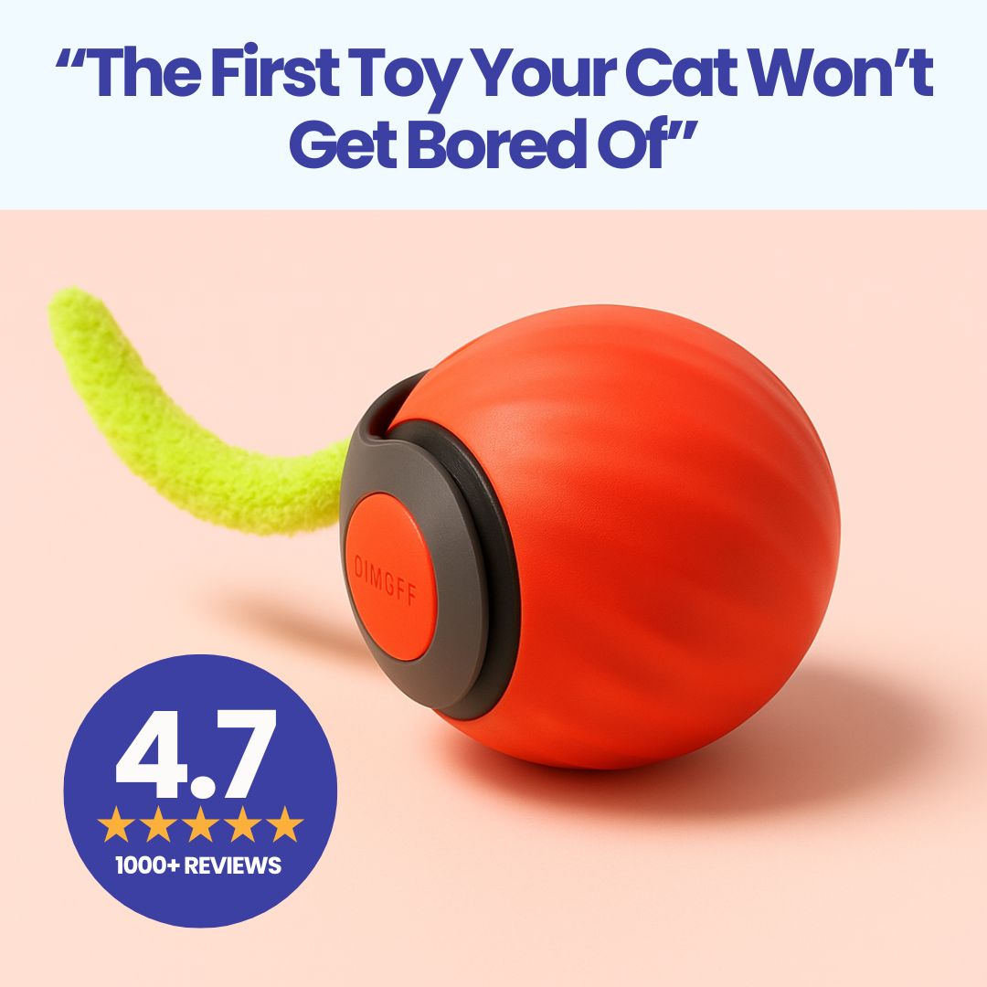 PurrBall 3.0