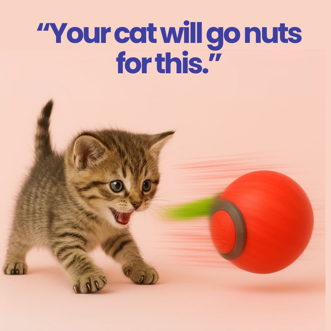 PurrBall 3.0