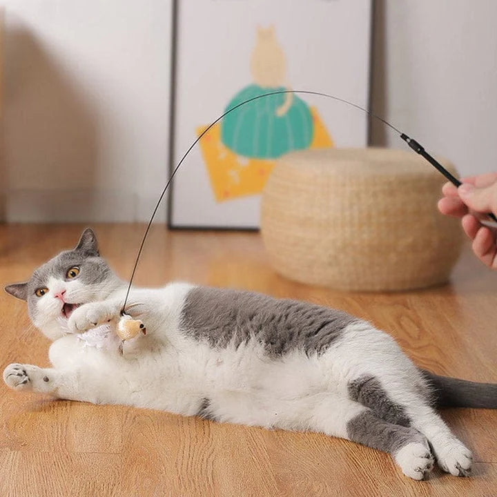 Interactive Bird Toy