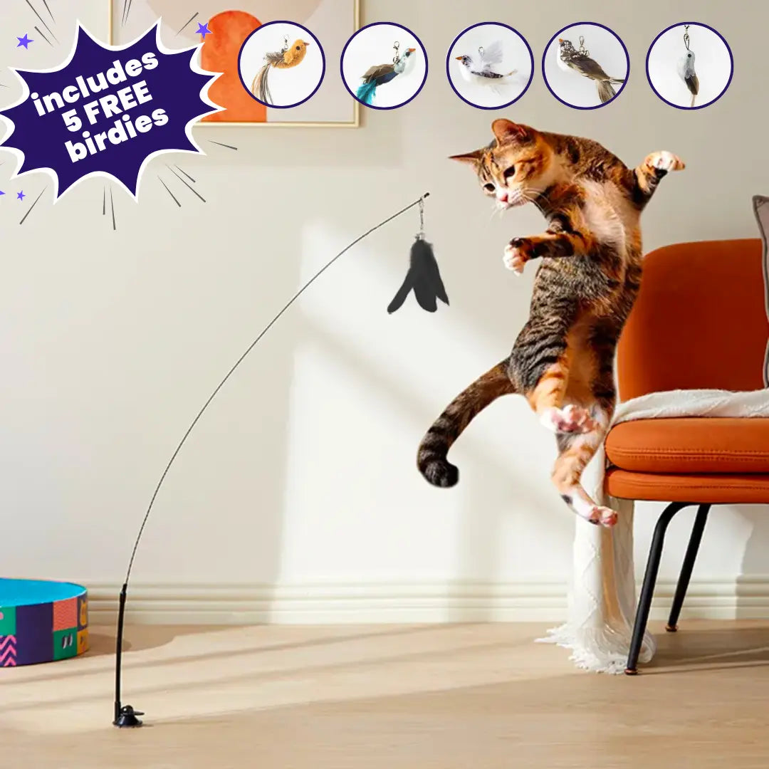Interactive Bird Toy