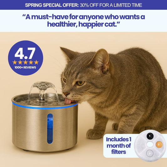 PurrHydration™ Water Fountain Kit