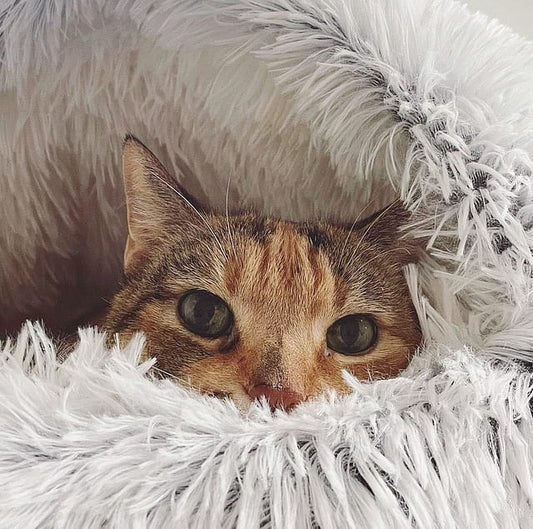 Ultra Soft Calming Nest