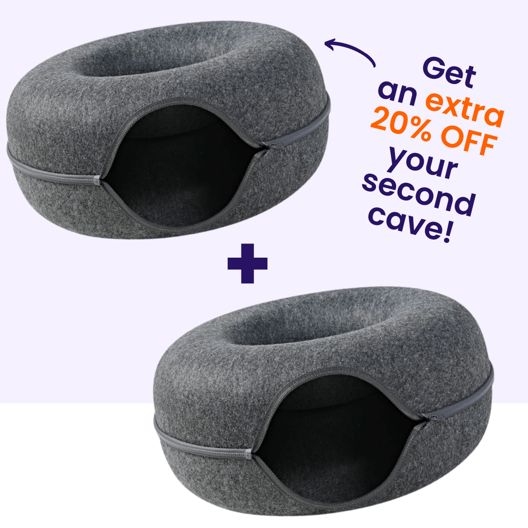 The "Donut" Cat Cave (2 pack)