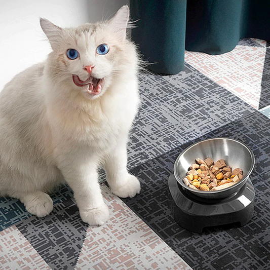 PurrBowl™ Steel Cat Feeder