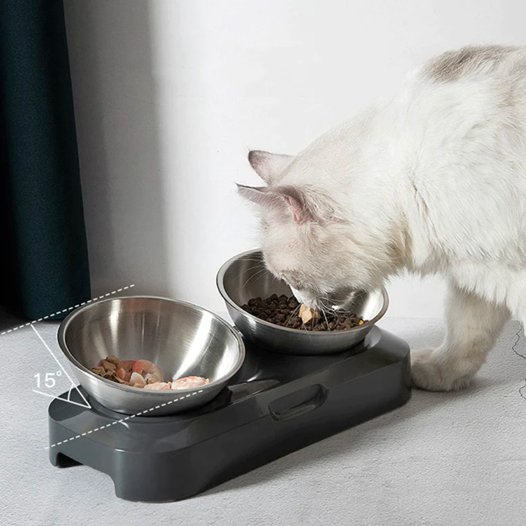 Stainless steel cat sales feeder