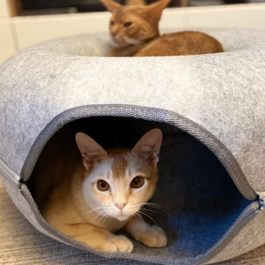 The "Donut" Cat Cave