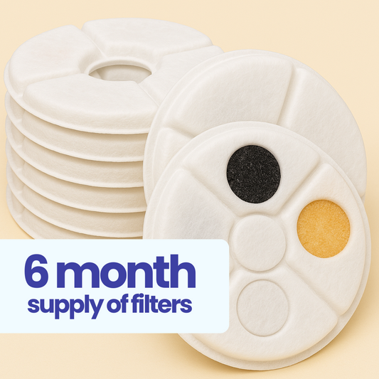 PurrHydration™ Replacement Filters (6 month supply)