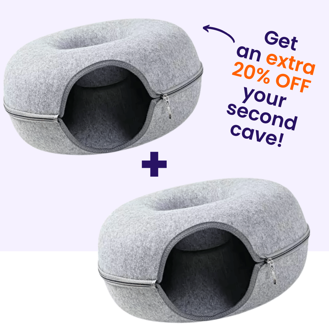 The "Donut" Cat Cave (2 pack)