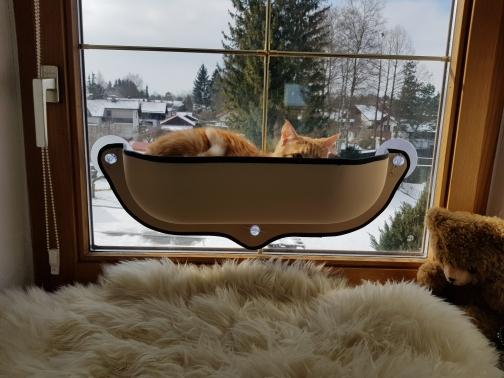 The purr house outlet cat hammock